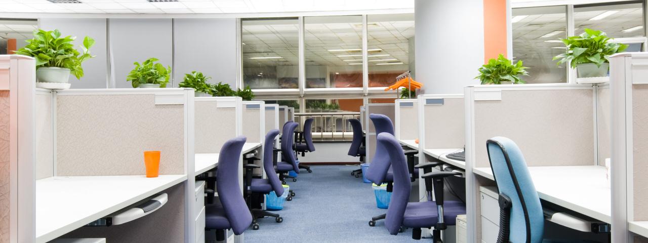 Office Cleaning Companies in Scarborough